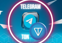 Tegro.Money начали принимать платежи в TON от Telegram