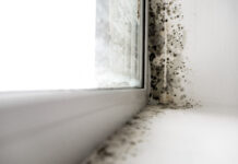 Как и чем можно вывести плесень