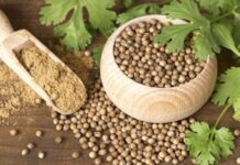 Кориандр: для чего он нужен и какая от него польза