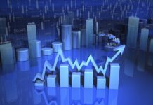 Компания S-group и её деятельность