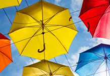 Как выбрать зонт: лучшие модели на Ozon