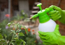 Гербициды: классификация и применение