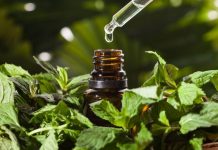 Офольфактотерапия: Вдохните ароматы для здоровья и релаксации