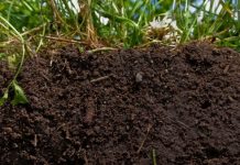 Газогеохимические исследования: ключ к пониманию состава и свойств грунта