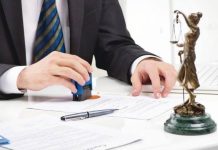 Алименты при банкротстве: что нужно знать и как защитить свои права