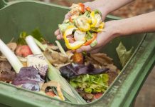 Переработка пищевых отходов