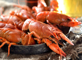 ВАРЕНЫЕ РАКИ И СОВЕТЫ ПО ВЫБОРУ