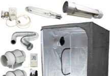 Готовый гроубокс: современный способ выращивания растений