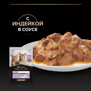 Как выбрать идеальный корм для котят: практическое руководство для заботливых хозяев