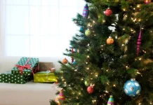 Живая ёлка на Новый год: как выбрать, привезти и сохранить праздник дома